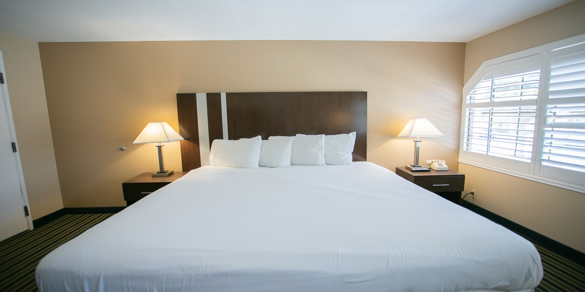 Travel Inn Sunnyvale - Single Bed Room-1