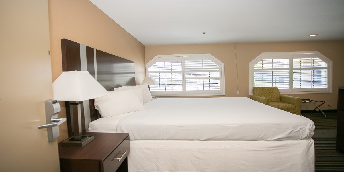 Travel Inn Sunnyvale - Single Bed Room-2