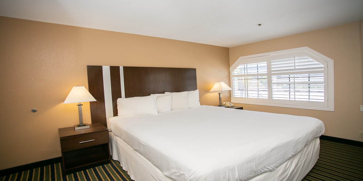 Travel Inn Sunnyvale - Single Bed Room-3