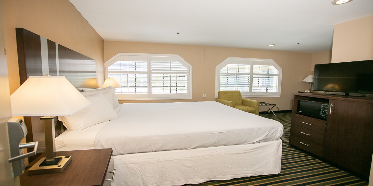 Travel Inn Sunnyvale - Single Bed Room-4