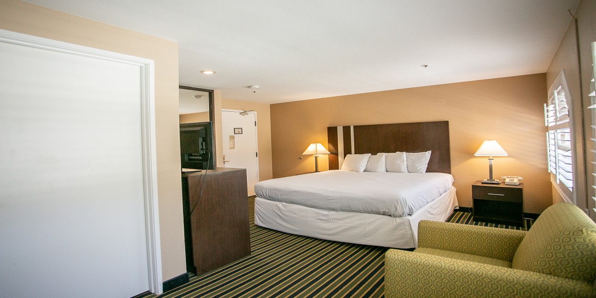Travel Inn Sunnyvale - Single Bed Room-5